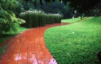 singapore garden.jif